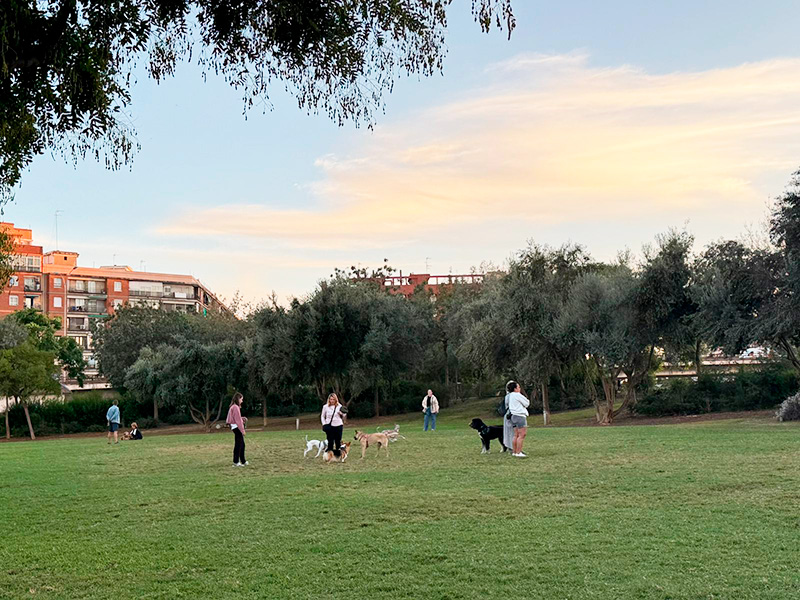 Parc Central Valencia